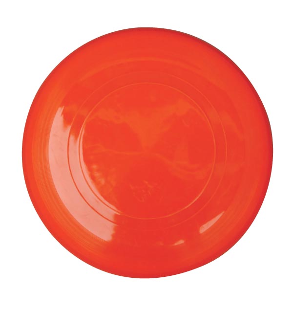 FRISBEE